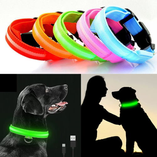 LuxPet® - il Collare Luminoso