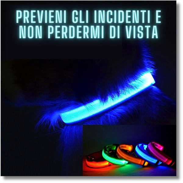 LuxPet® - il Collare Luminoso