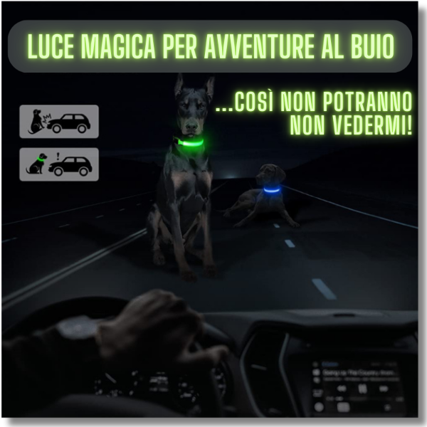 LuxPet® - il Collare Luminoso