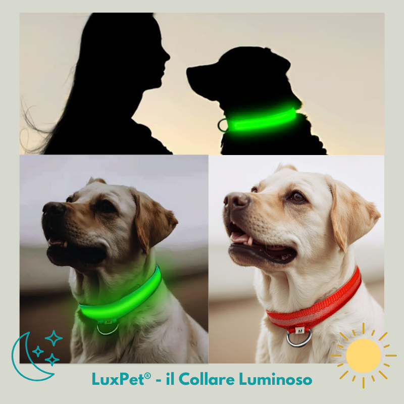 LuxPet® - il Collare Luminoso