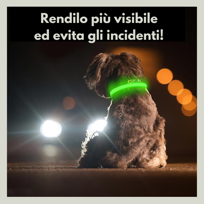 LuxPet® - il Collare Luminoso